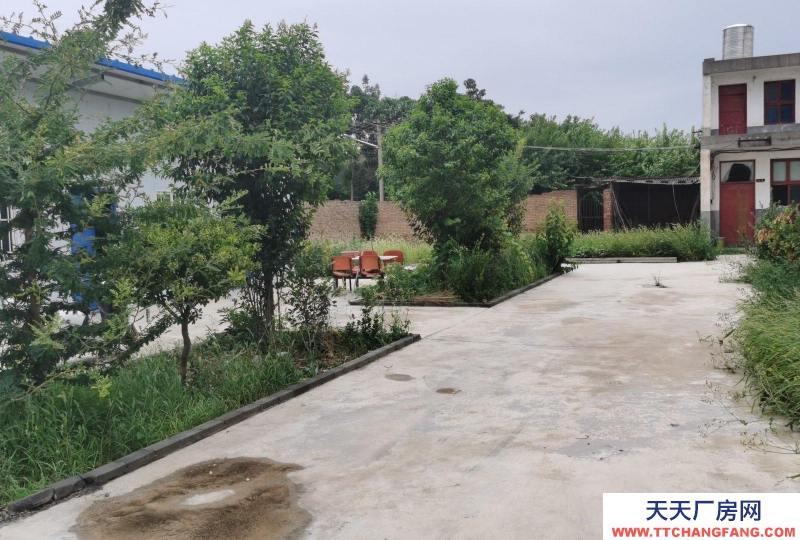 (出租) 寶雞扶風便宜出租，也可轉讓，政府批準的建設用地