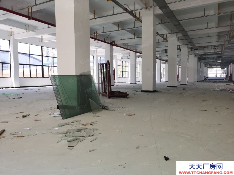 溫州龍灣(出售) 龍灣溫州大道8000平方，大路廣告位置好