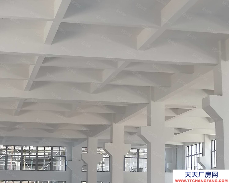 溫州龍灣(出售) 出售濱海標準廠房占地18畝，1至5層，建筑面積24000平