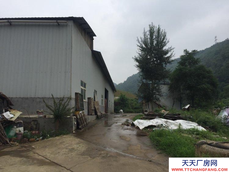 (出售)寶雞渭濱 峪泉村獨院廠房和地皮 轉讓