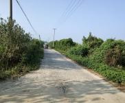 (出售) 仙桃誠心折價出售養殖場房， 省道直達 ！電力專線！