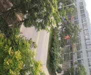 (出售) 仙桃出租出售三伏潭獨立廠房二證齊全，自有土地