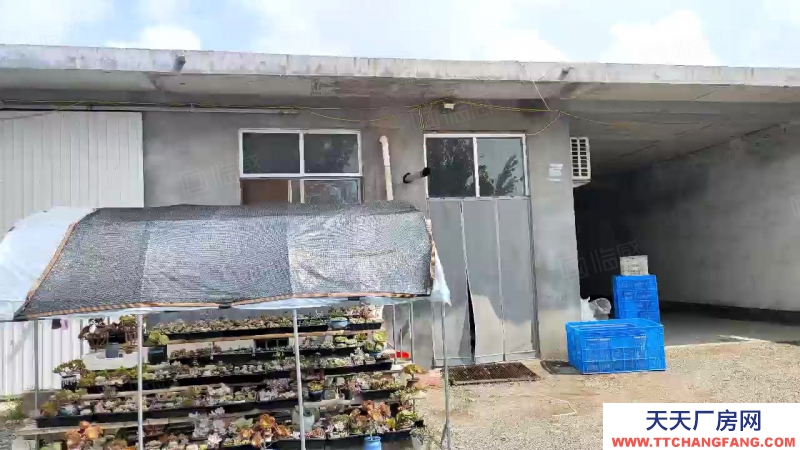 臨沂河東九曲斜坊二畝獨院框架廠房，建設用地，水電路好