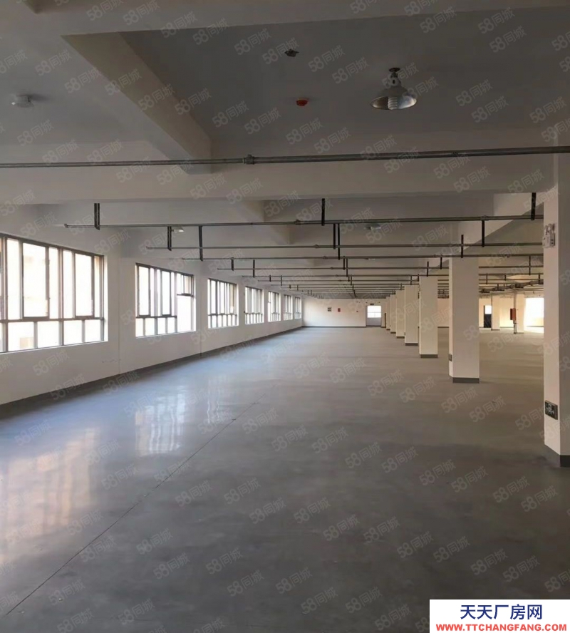 溫州甌海(出租) 巨溪工業(yè)區(qū) 標(biāo)準(zhǔn)廠房 中心位置 可分租可整租