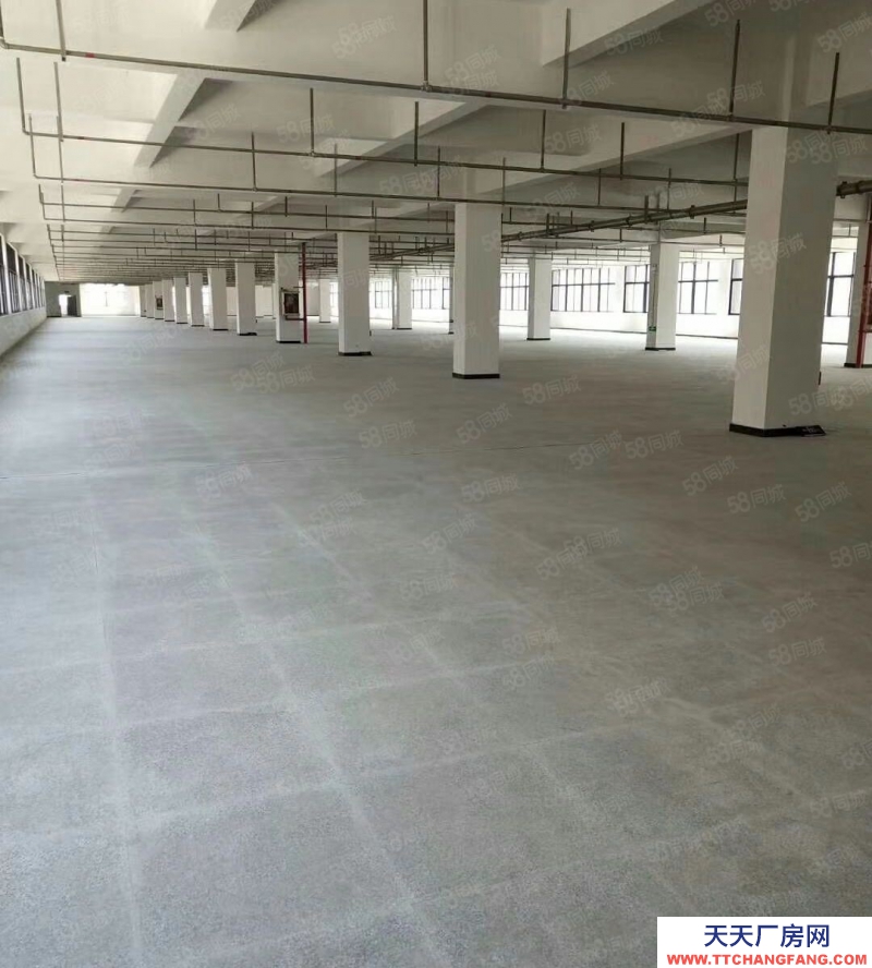 溫州甌海(出租) 五星推薦~上匯1樓2000平方，高5米，不限行業(yè)