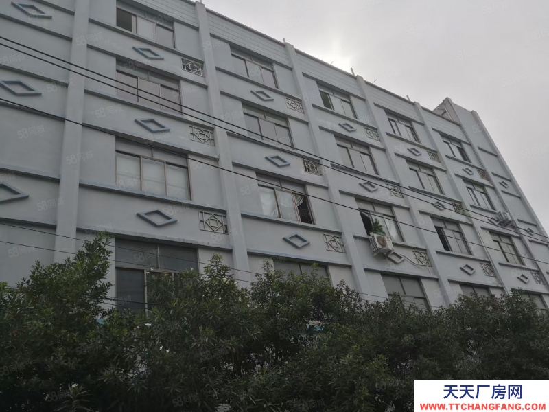 溫州甌海(出售) 出售，澤雅工業區獨門獨院廠房約4畝建筑面積獨幢5500平方