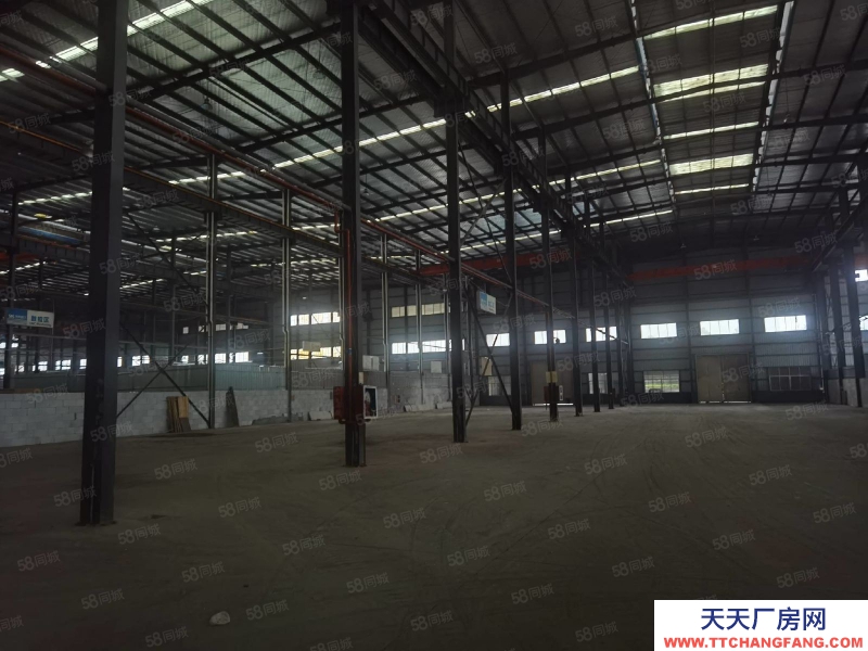 溫州洞頭(出租) 甌江口彩鋼廠房出租面積2000到10000平方高度13米