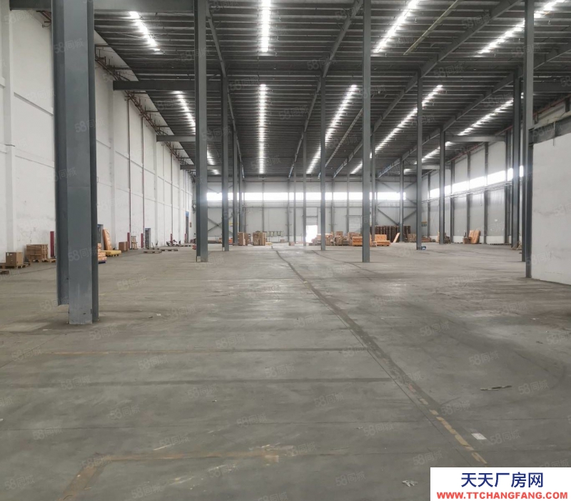 溫州洞頭(出租) 甌江口新區鋼結構廠房1500平米出租空地600平米