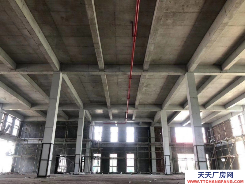 獨棟、雙拼或分層1800m2高標準工業廠房。低價現房。