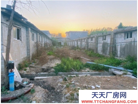 臨沂郯城縣好位置養(yǎng)殖場出租出售