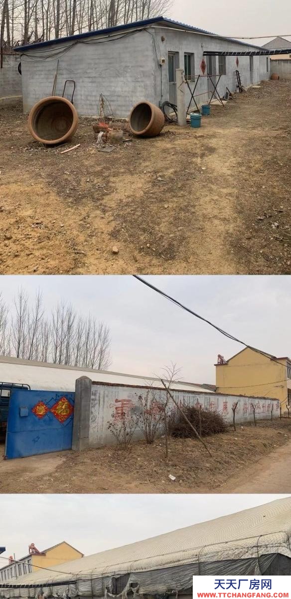 臨沂沂水院內建有一個320平方米的恒溫大棚，后面可以 辦公等等