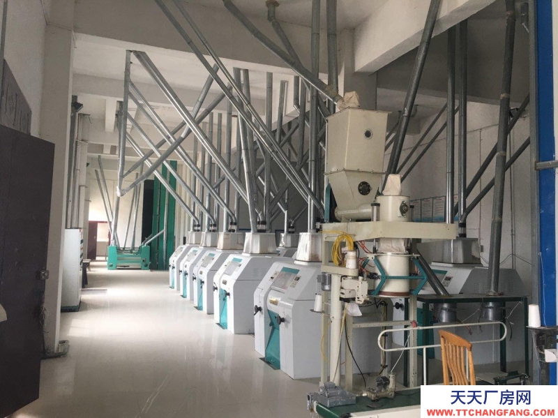 (出售) 蘭州城關面粉加工設備10套，面積6423平方米設備全，接受即可生產.