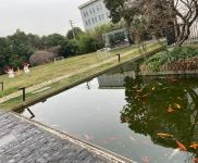 (出租) 徐匯稀有花園式獨棟 辦公展廳 建筑設計攝影文創 企業總部