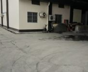 (出租) 徐匯龍吳路廠房出租適合工廠店研發辦公等