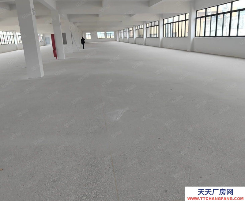 溫州洞頭(出售) 誠售洞頭新獨門獨院2500平方適合各行各業