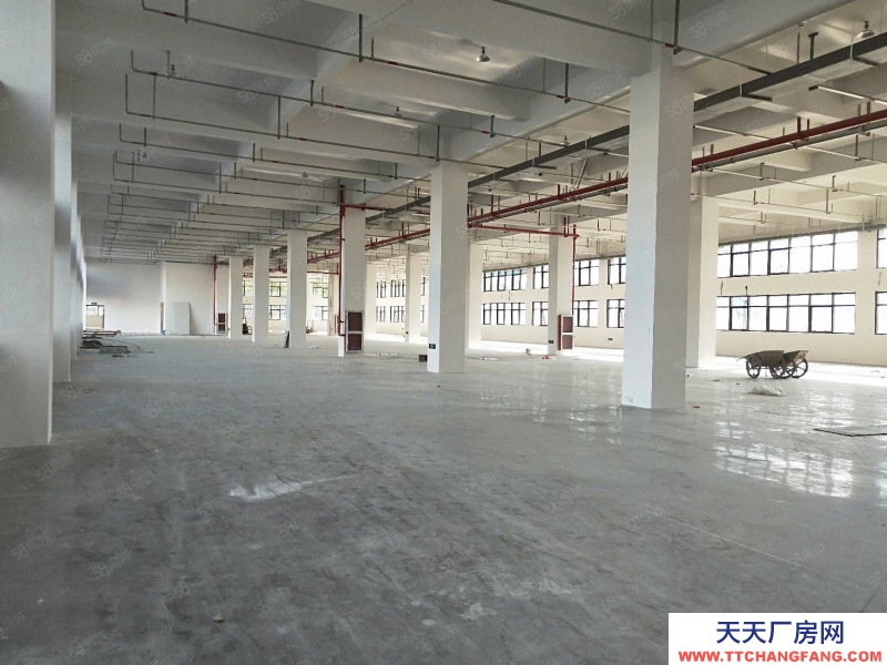 溫州永嘉(出租) 出租甌北安豐工業(yè)區(qū)一樓1250平，適合各行業(yè)可分價(jià)格實(shí)惠