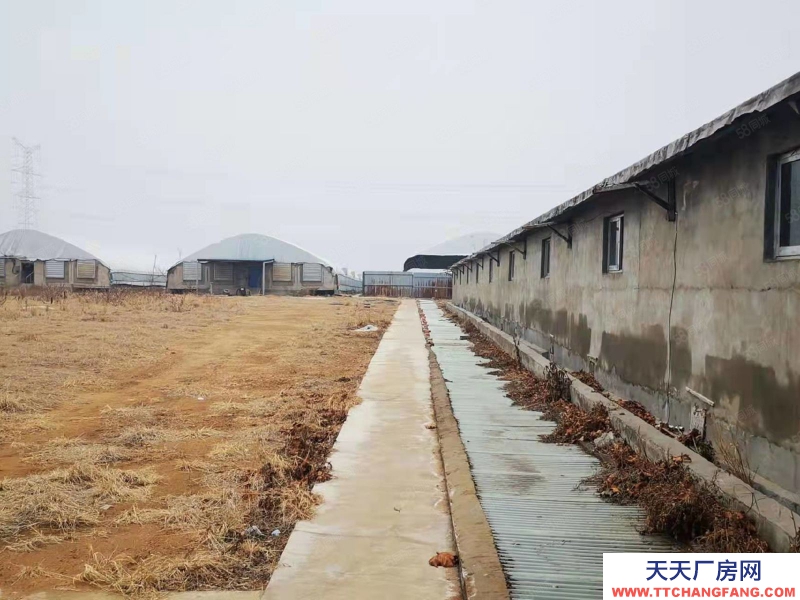 臨沂 臨沭40畝現(xiàn)代化養(yǎng)殖場，手續(xù)齊全，方正獨院，水電路好，養(yǎng)豬鴨