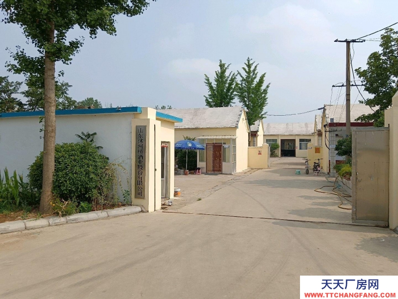 臨沂臨沭公司正常營業(yè)中，手續(xù)齊全，生產(chǎn)許可證到2027.6月。