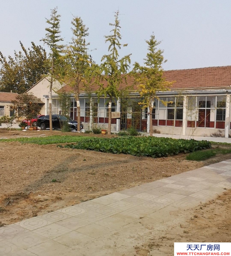 臨沂臨沭泰安路中段 倉庫 1000平米