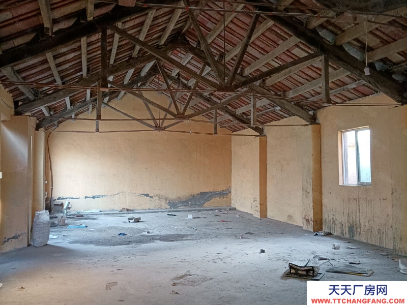 泰安泰山徐家樓工業(yè)園 王家店東 廠房倉庫 可整租可分租