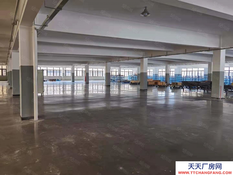 溫州平陽(出租) 國道邊廠房樓上，形象好進出方便適合各行各業