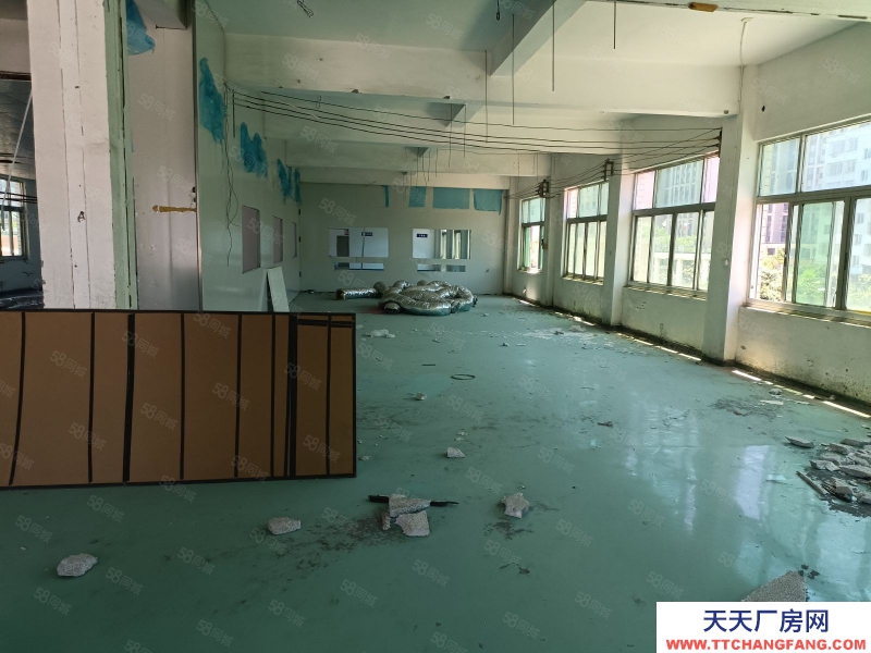 溫州平陽(出租) 熬江廠房出租整棟1~4層帶彩鋼棚約3500平米，低價出租。