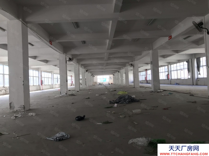 溫州平陽(出租) 標(biāo)準(zhǔn)廠房二樓出租，18含稅，貨梯10噸適合做機(jī)械帶行車