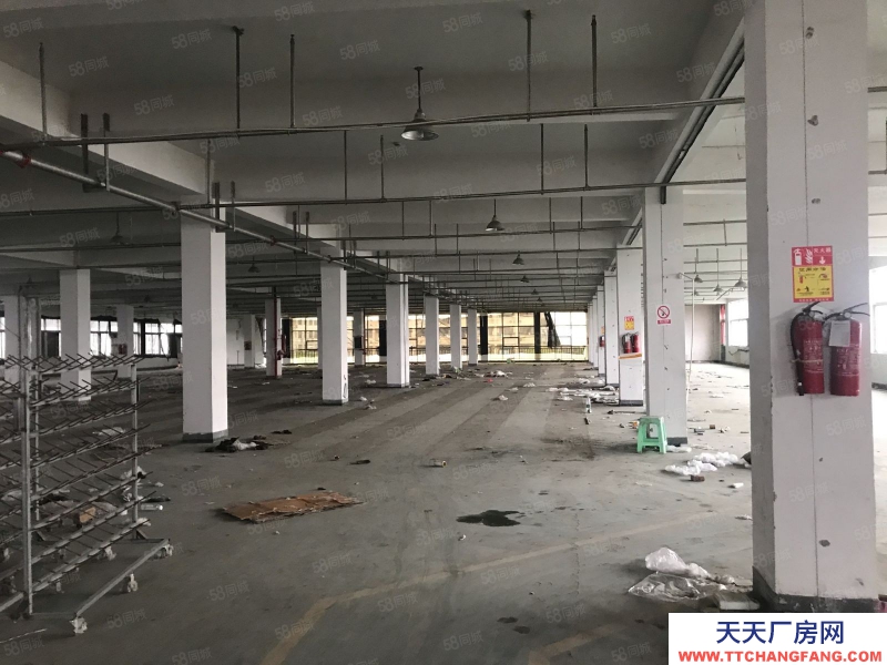 溫州平陽(出租) 標(biāo)準(zhǔn)廠房一幢可分出租適合做家具