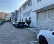 (出租)普陀 桃浦核心區域260平起分租誠招各類研發電商倉儲展廳辦公