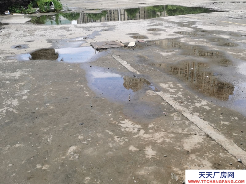 溫州平陽(yáng)(出租) 整幢出租一至三層，每層1500平方，空地多