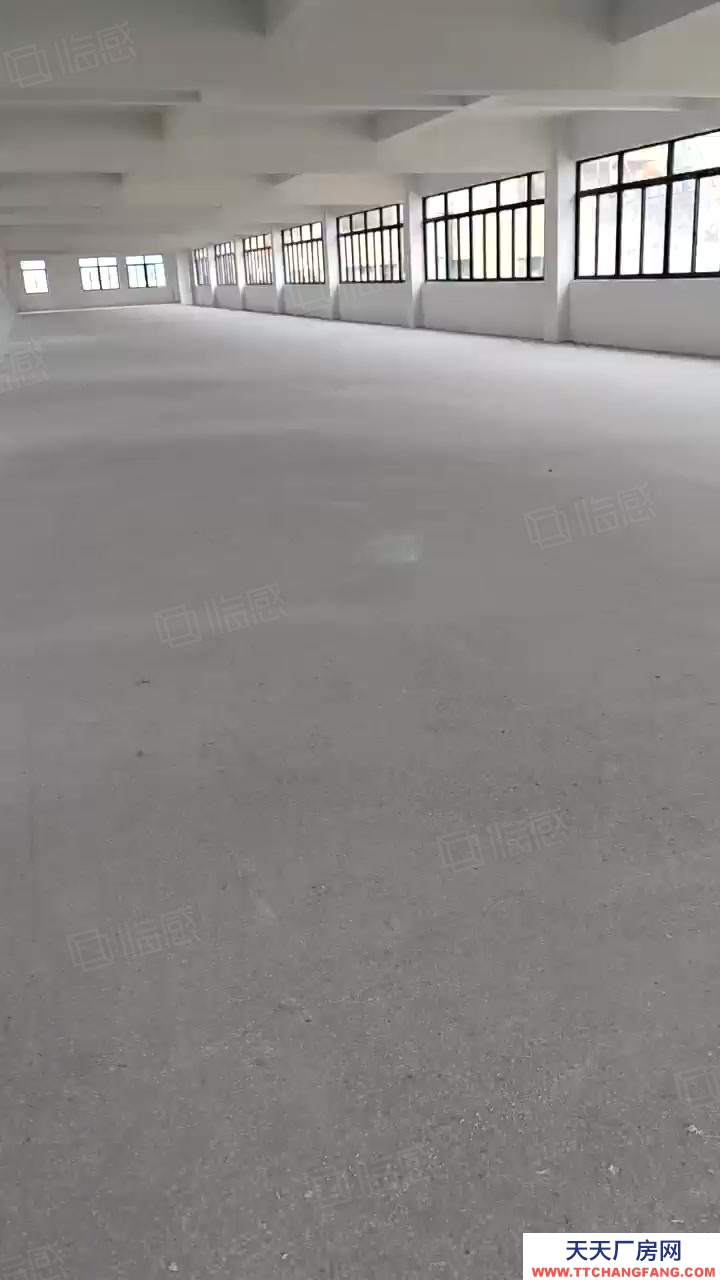 溫州平陽(出售) 出售平陽萬洋樓上800平方宿舍4間位置好大車進出方便