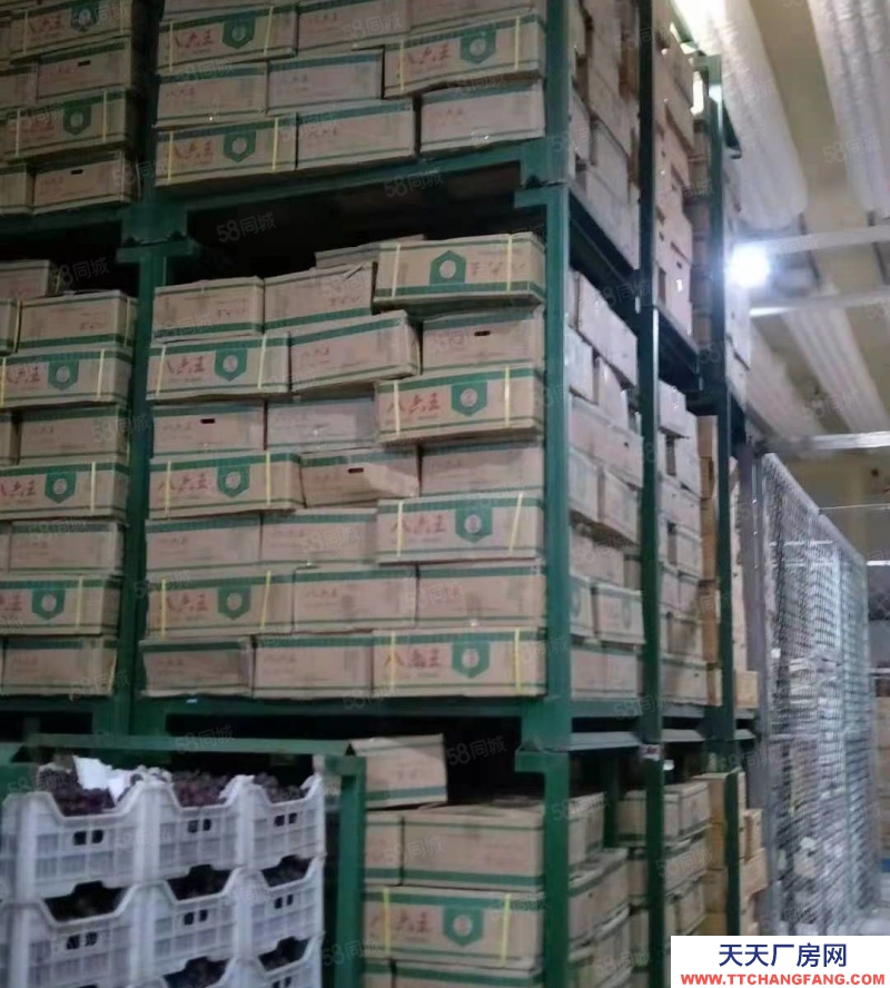 (出租) 大連甘井子區(qū)西北路軍合冷庫內(nèi)冷庫現(xiàn)對外招商