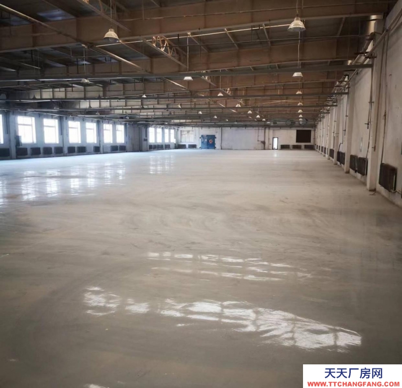 (出租)大連金州 獨門獨院，廠房，倉儲，大型樓庫物流，可分租，可合作，電商倉庫