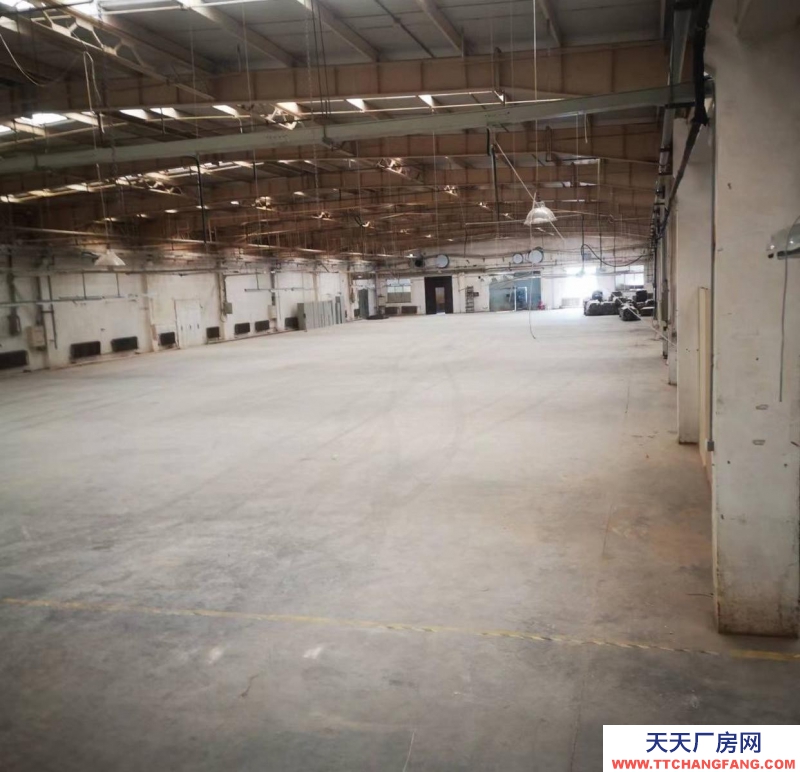 (出租)大連金州 獨門獨院，廠房，倉儲，大型樓庫物流，可分租，可合作，電商倉庫