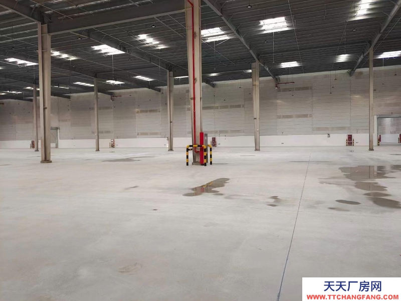 (出租) 大連市金州金普新區(qū)丙二類高標倉庫，生產、加工、物流倉儲均可