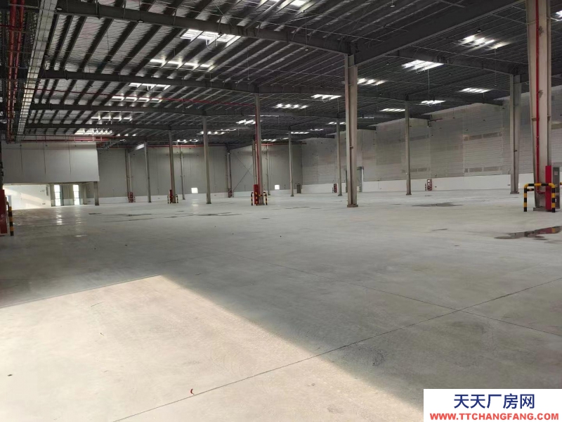 (出租) 大連市金州金普新區(qū)丙二類高標倉庫，生產、加工、物流倉儲均可