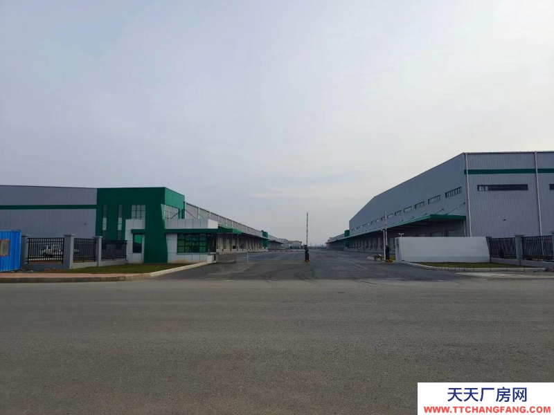 (出租) 大連市金州金普新區(qū)丙二類高標倉庫，生產、加工、物流倉儲均可