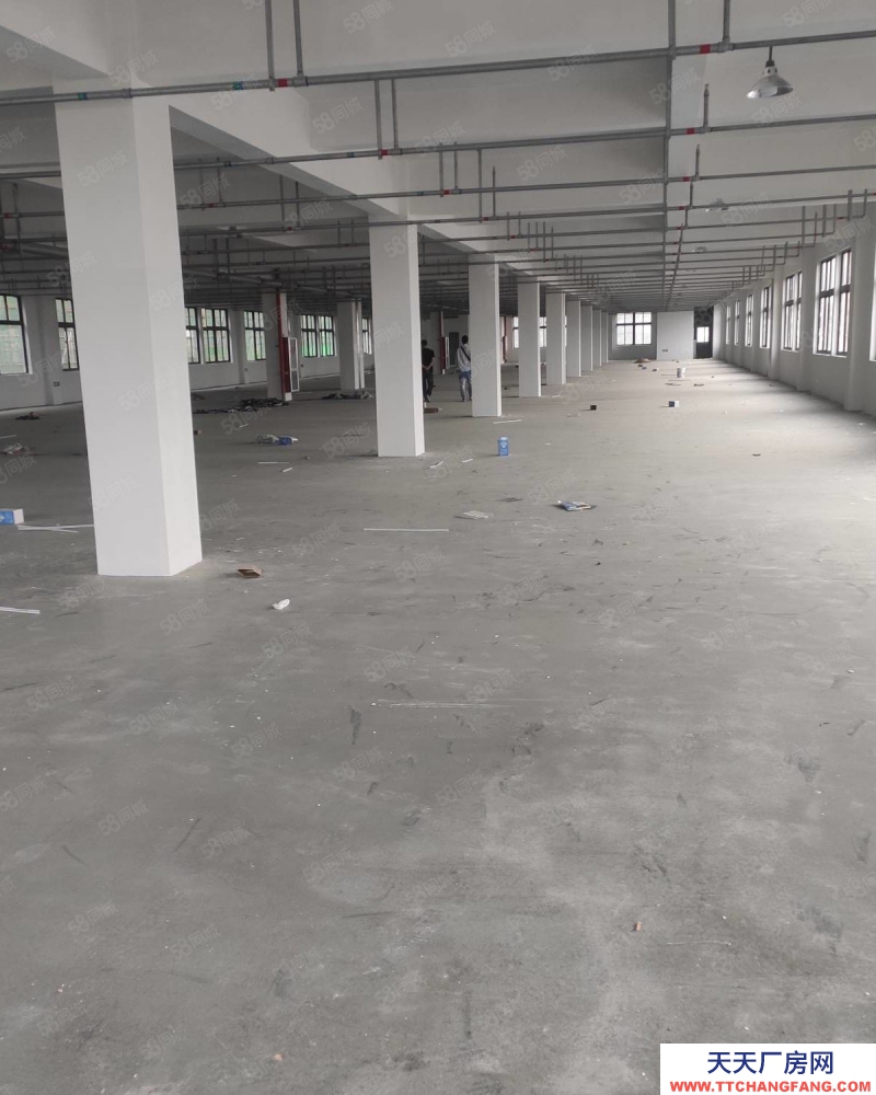 溫州蒼南縣(出租) 金鄉獨門獨院一樓1300平方出租，租金31萬，電大400千瓦