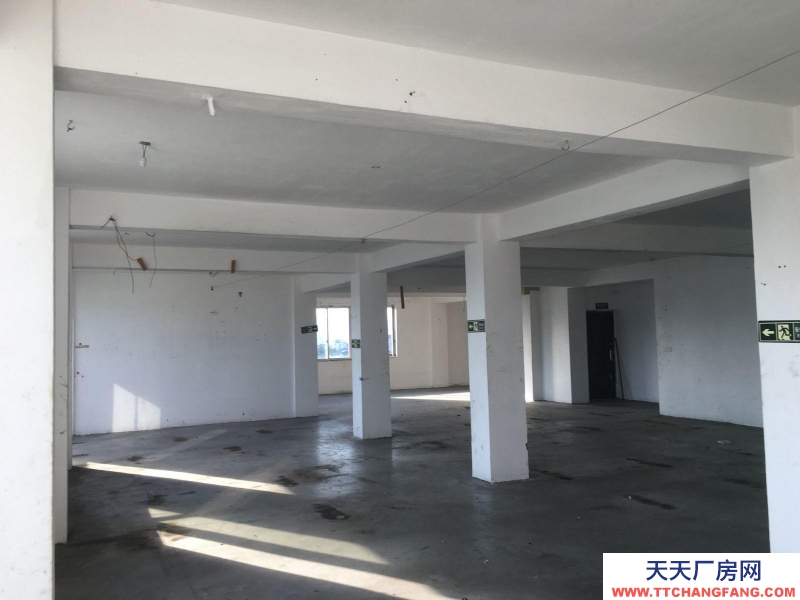 溫州蒼南縣(出租) 出租廠房 地址 龍港士金兜村