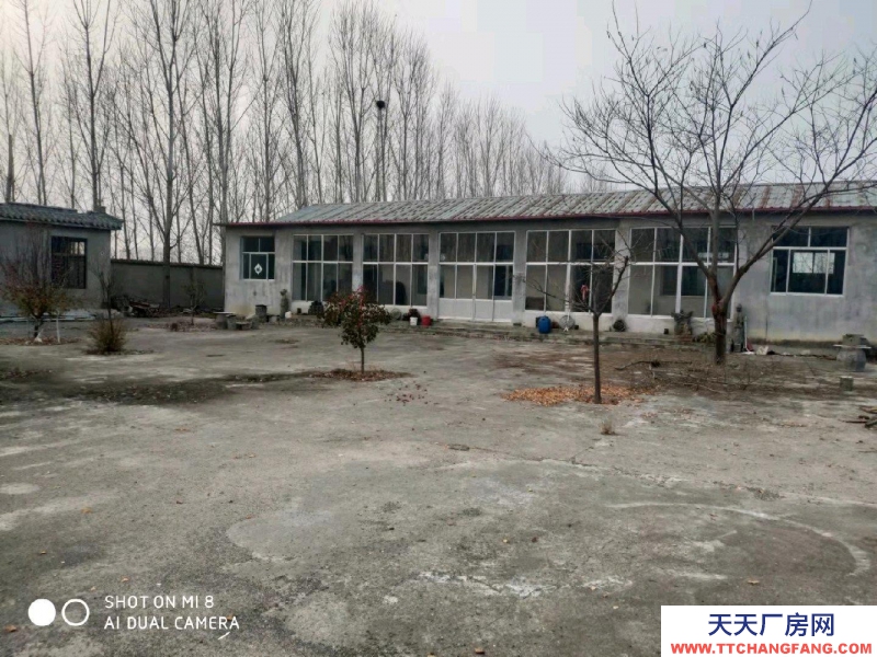 泰安寧陽交通便利，有廠房千余平可倉儲可加工