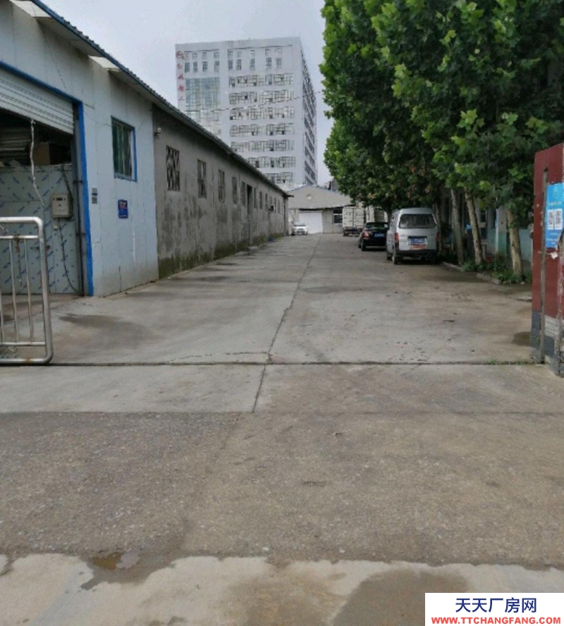 泰安寧陽400平米500平米各一套，辦公室三間