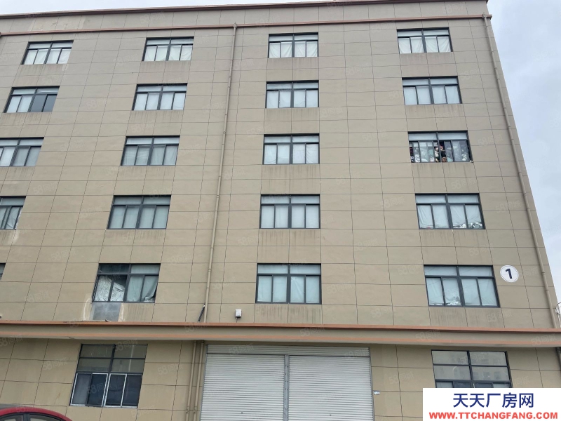 溫州蒼南縣(出售) 宜山獨門獨院8畝地出售12000平三證齊全好過戶