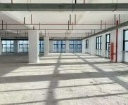 (出租) 楊浦，房東直租，適合直播展廳，研發(fā)實(shí)驗(yàn)辦公，組裝測試，形象好