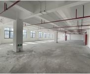 (出租) 楊浦大房東 研發(fā) 辦公 電商 企業(yè)總部 展廳 攝影 食堂宿舍