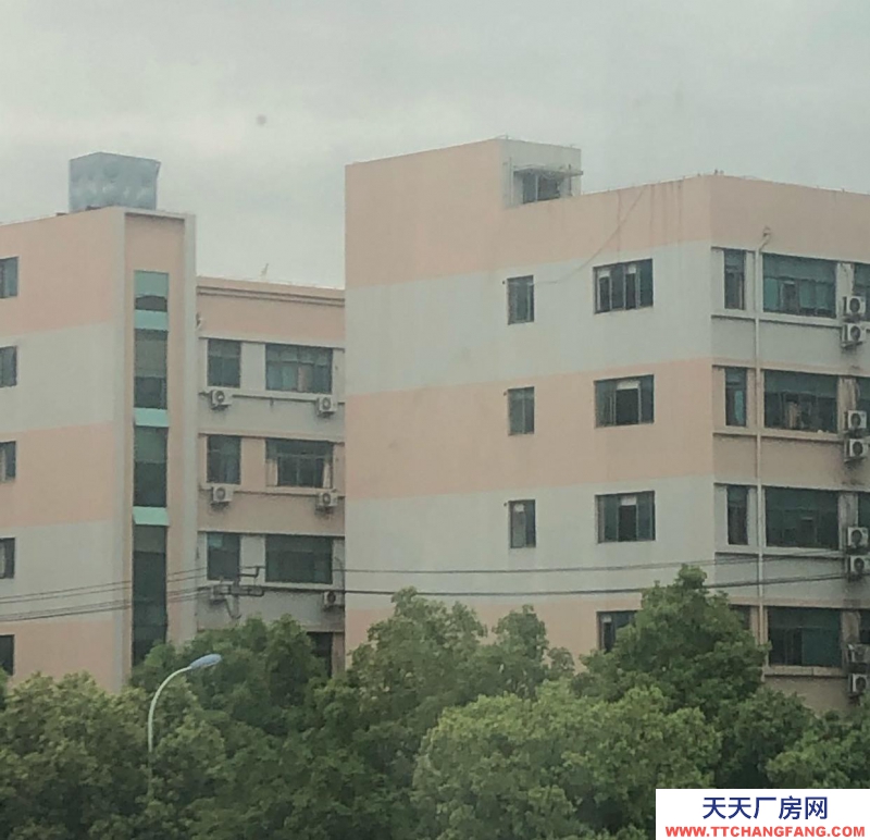 溫州文成(出租) 廠(chǎng)房車(chē)間2幢，宿舍樓1幢，屬于彩鋼房，高13米