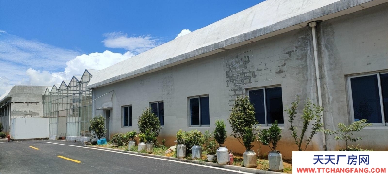 溫州文成(出租) 出租文成南田 3000平方 食品加工產(chǎn) 預(yù)制菜 凈菜