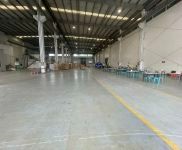 (出租) 閔行獨門獨院單層廠房 104地塊 體育館 生產加工 生物醫藥