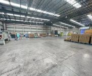 閔行 顓橋全新單層廠房 場地大 球館.物流.倉儲電商 另有2畝空地