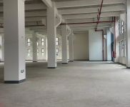 (出租) 閔行新建1500平花園式產業園配套3萬平運動休閑廣場