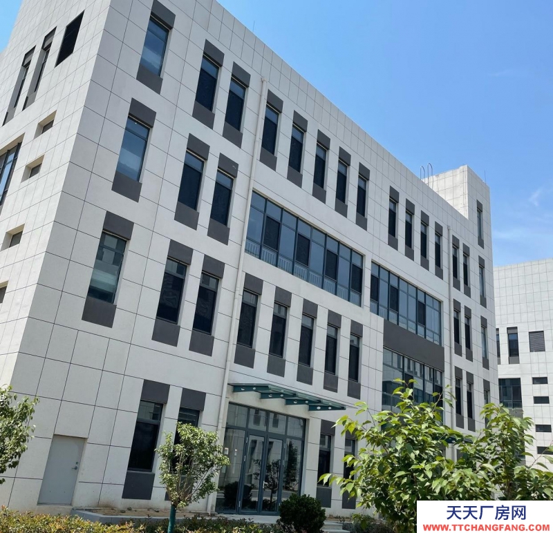 泰安寧陽國企開發(fā) 現(xiàn)房獨(dú)棟 企業(yè)獨(dú)棟 共4層 獨(dú)立產(chǎn)權(quán) 工業(yè)用地